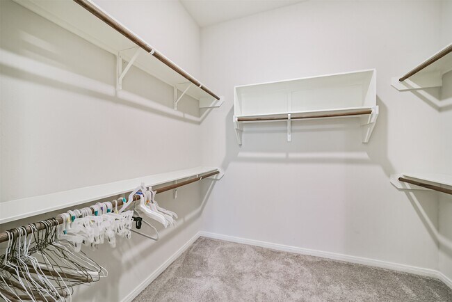 Building Photo - 10334 Solitaire Cir