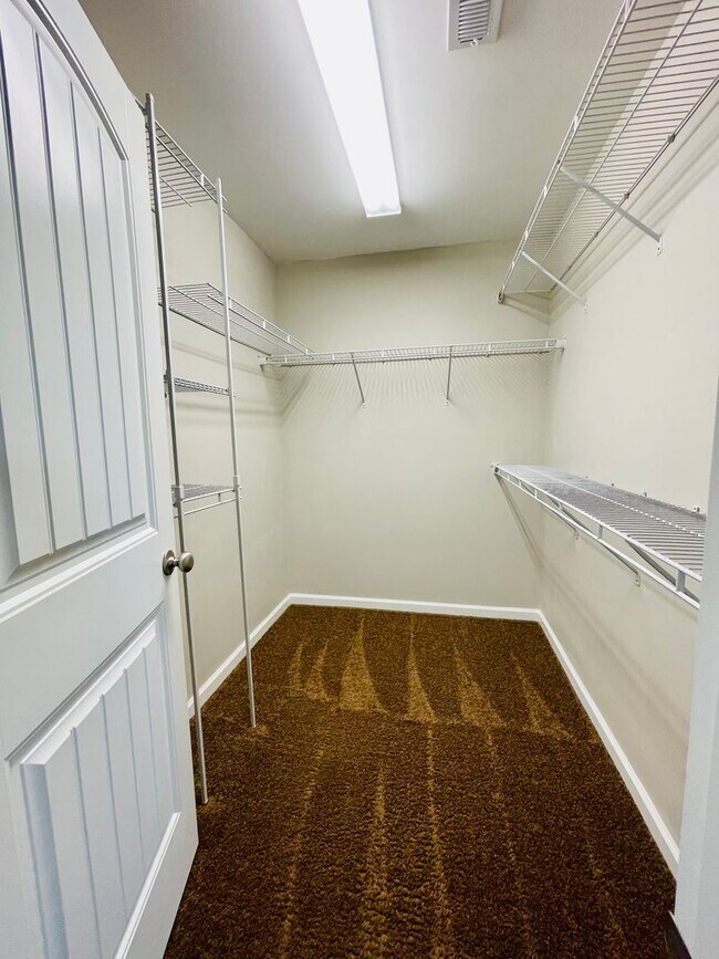 Building Photo - BEAUTIFUL 3 BR/2BA with 2 car garage. Private back yard space! Conway location!