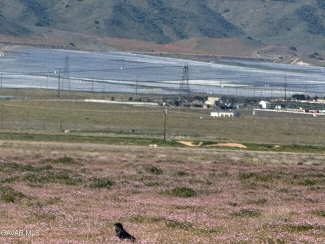 Building Photo - 6126 W Ave K1