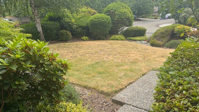 Building Photo - $3850.00 3 Bedroom 2.5 Bath Modern Style Home in Kirkland