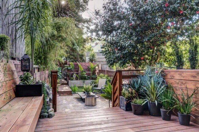 Private Yard - 2568 Folsom St