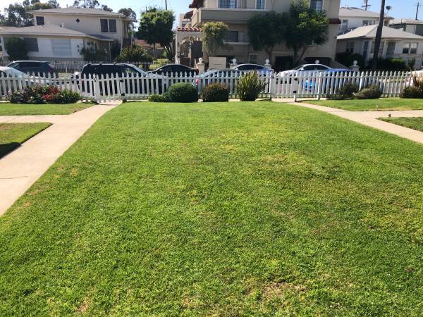 Lawn - 7026 Flight Ave