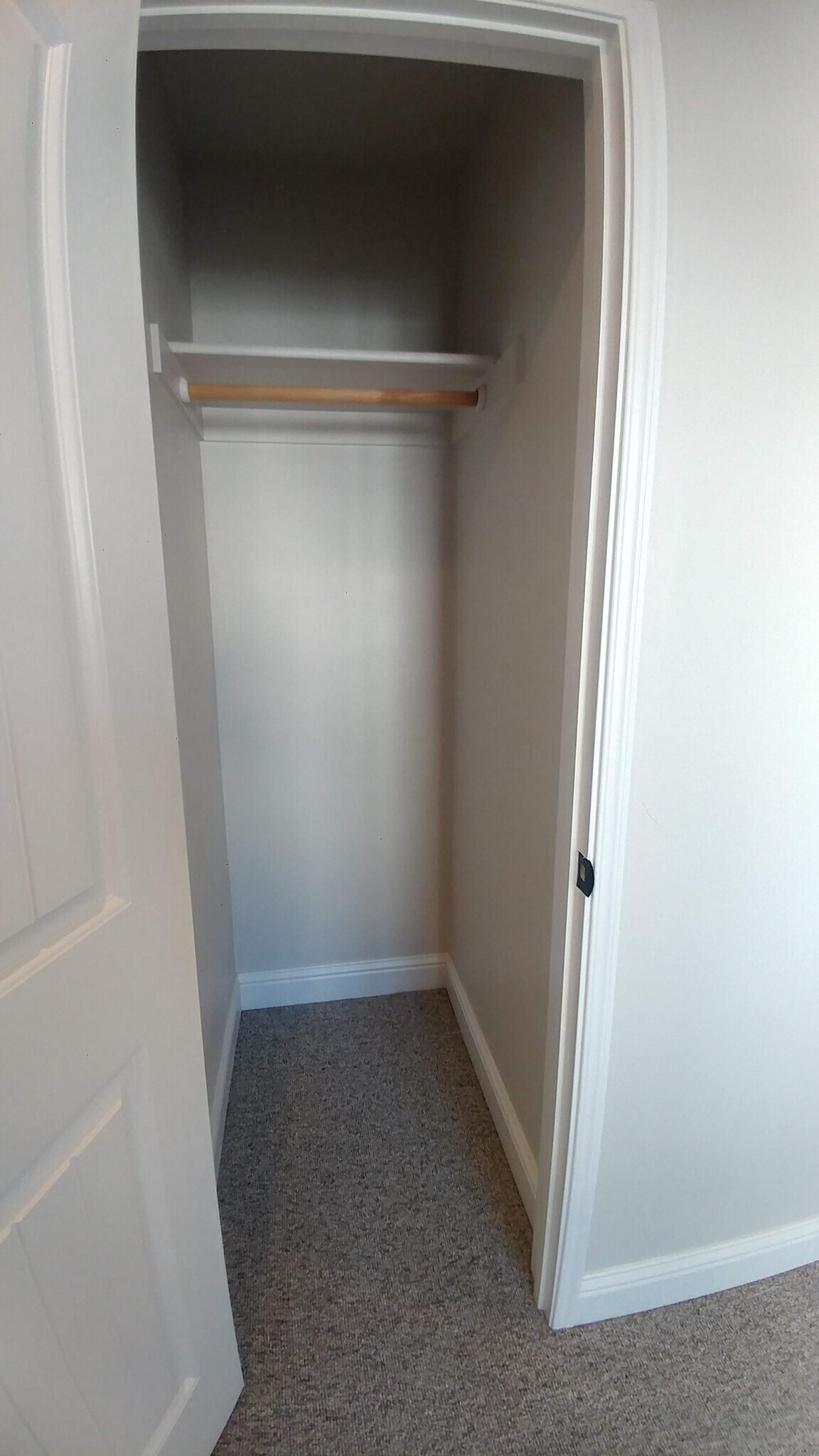 Building Photo - 126 Cowell St