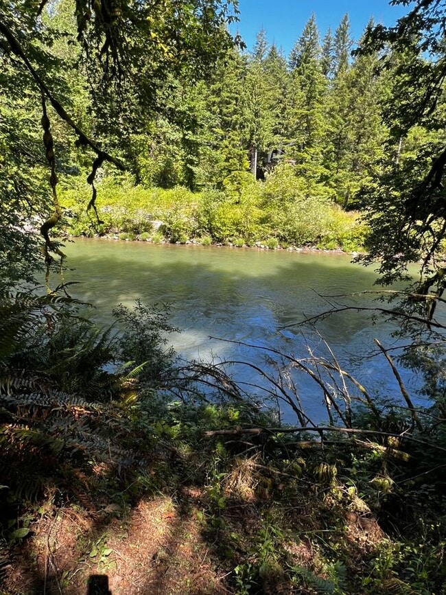 Primary Photo - River Rapids