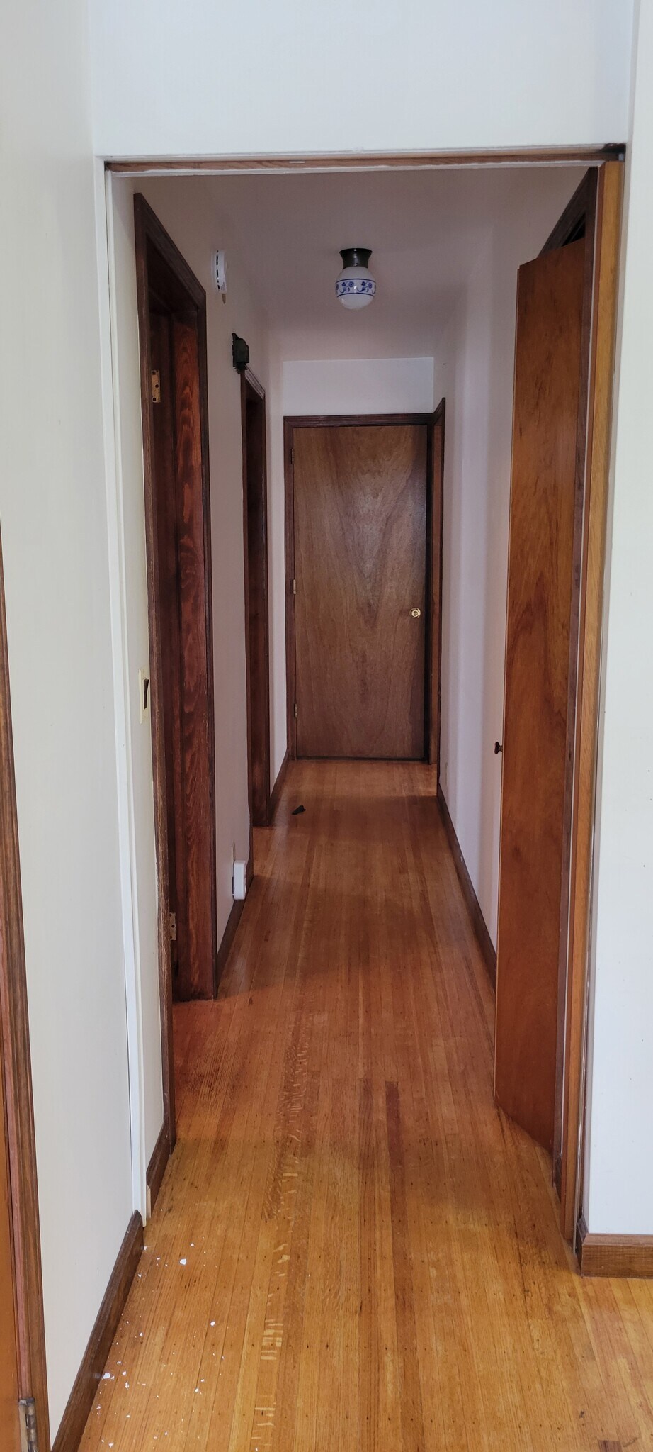 Hallway to bat, bedroom and living area from kitchen - 481 Meigs St