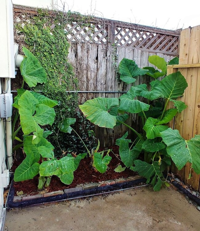 Building Photo - Beautiful 4 bedroom townhouse with incredible kitchen