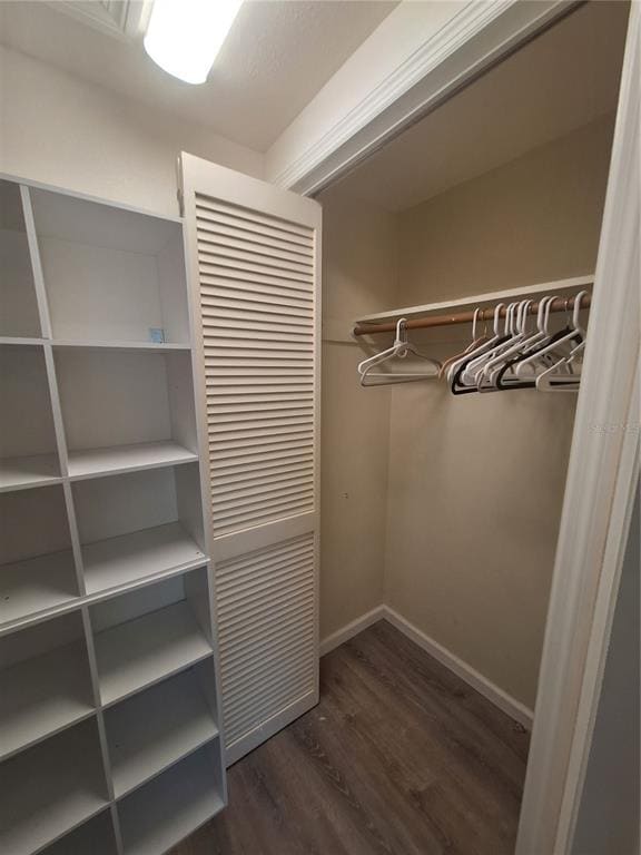 Building Photo - 1738 Caribbean Cir