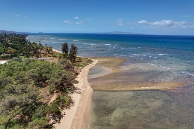 Building Photo - 1032 S Kihei Rd