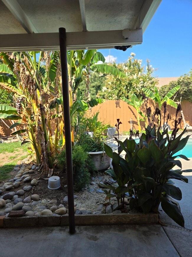 Building Photo - Three bedroom, fresh paint and pool!