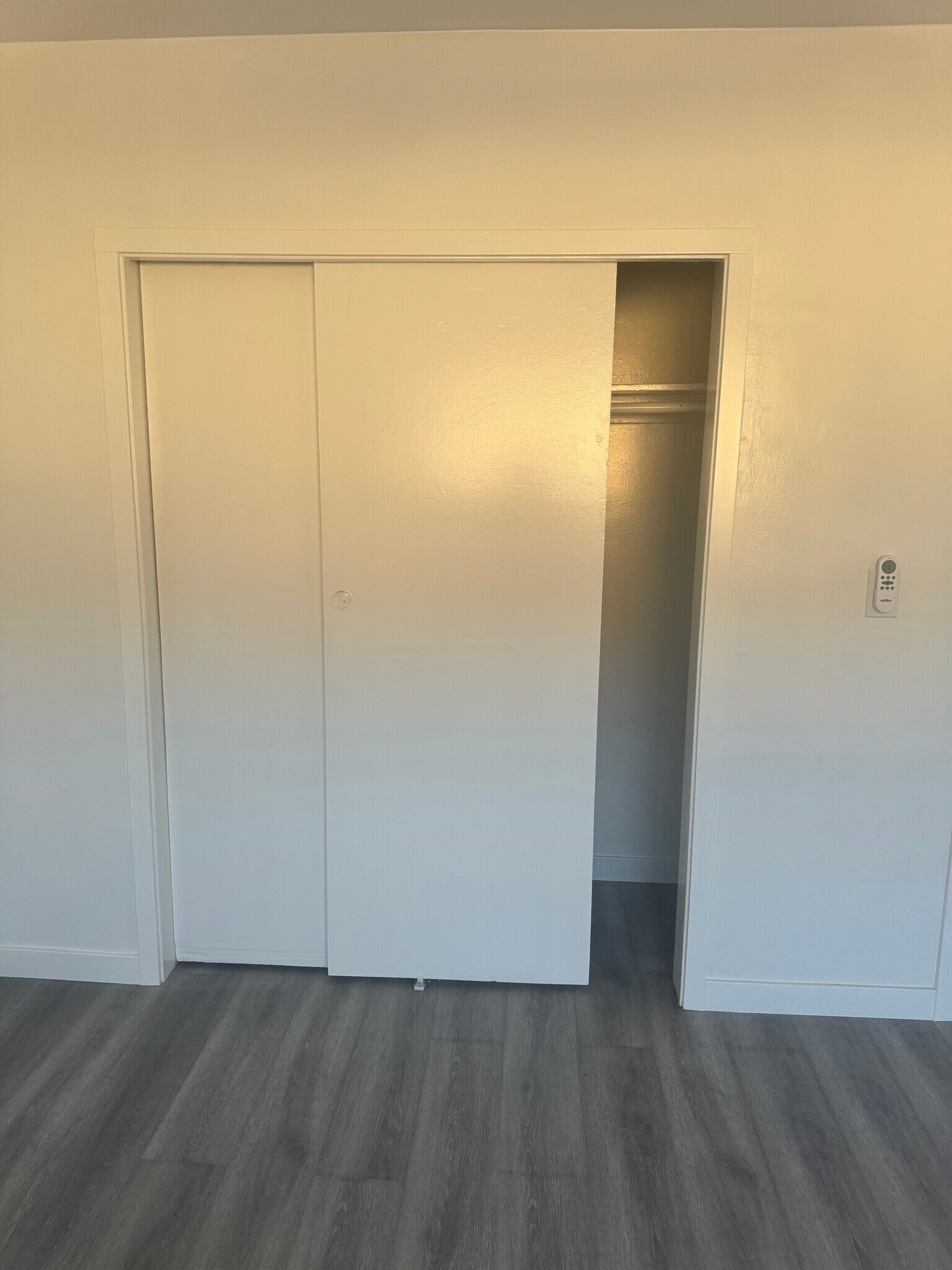 Closet #1 - 227 Justin Ave
