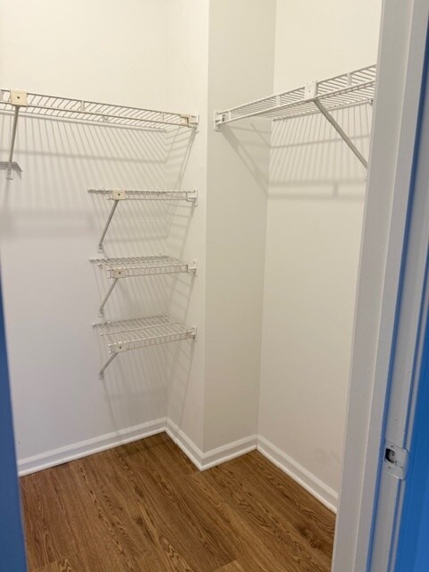 Building Photo - 900 Mix Ave