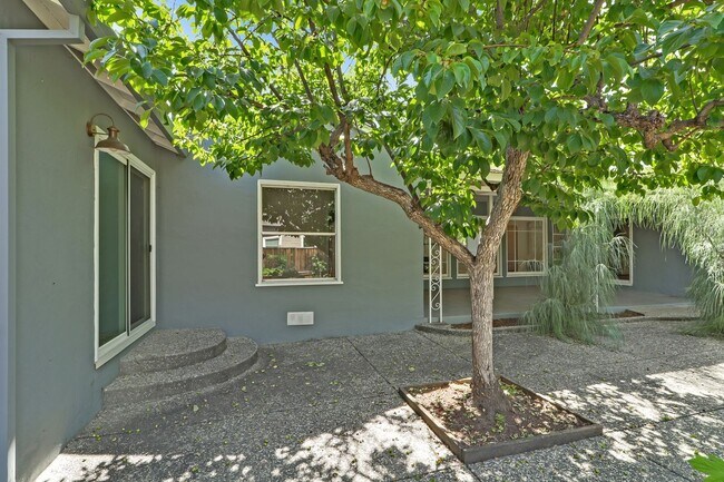 Building Photo - Los Altos 4-Bedroom with Fireplace, EV Hoo...