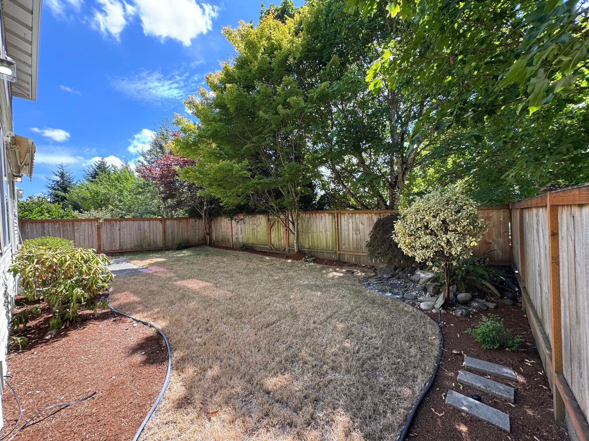 Backyard - 24803 SE 19th St