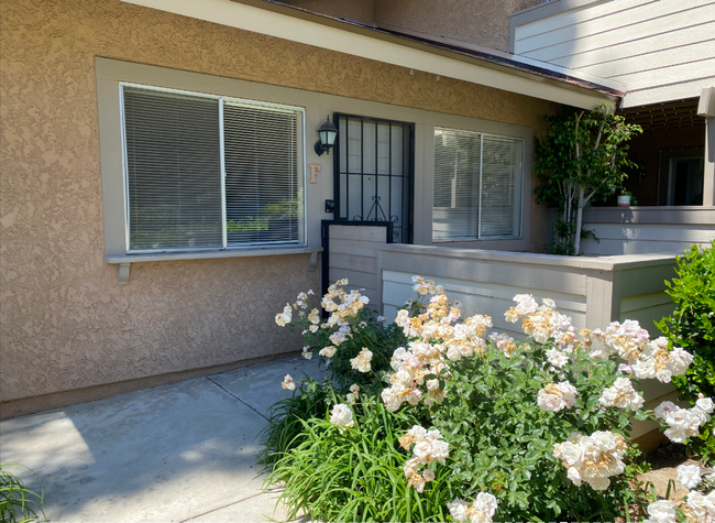 Primary Photo - Alamo Villas studio with community pool