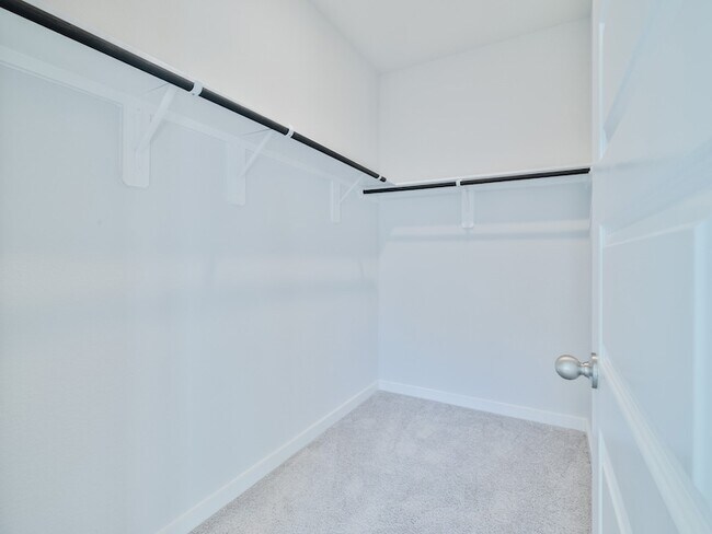 Building Photo - 8583 Blueberry Ash St