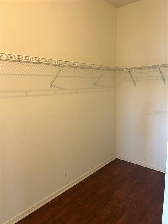 Building Photo - 3164 River Branch Cir