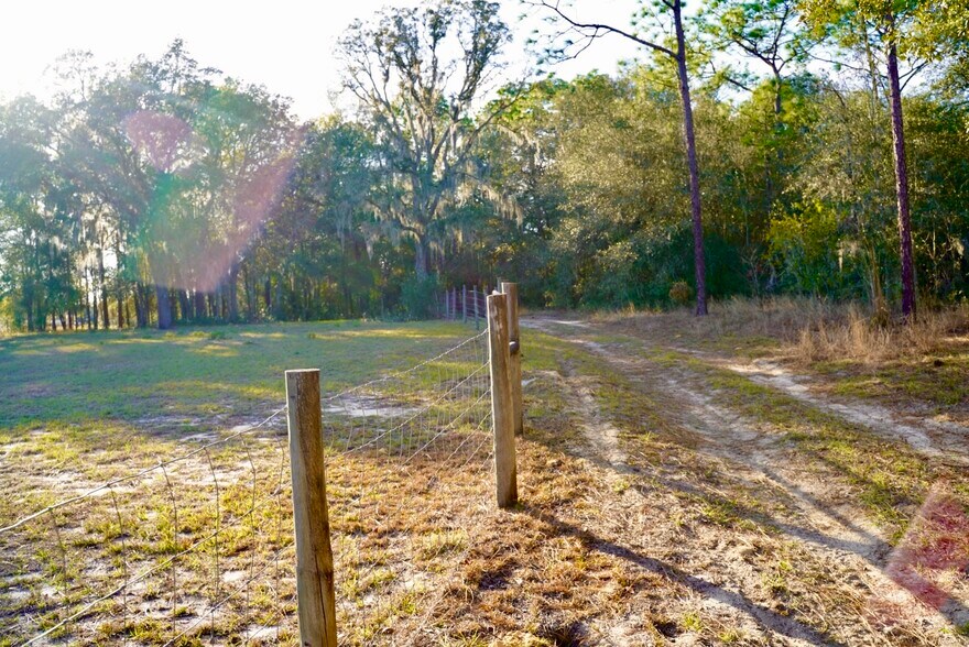 Building Photo - 29205 Saddle Oaks Ln