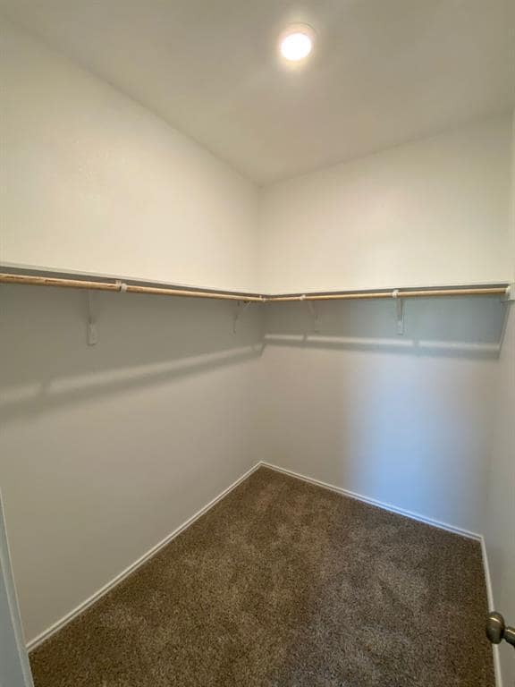 Building Photo - 7512 Poppy Petal Dr