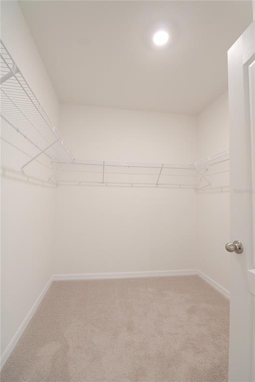 Building Photo - 444 Taylor Grvs St
