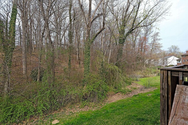 Building Photo - Pet-Friendly Townhome Convenient to UVA & Downtown