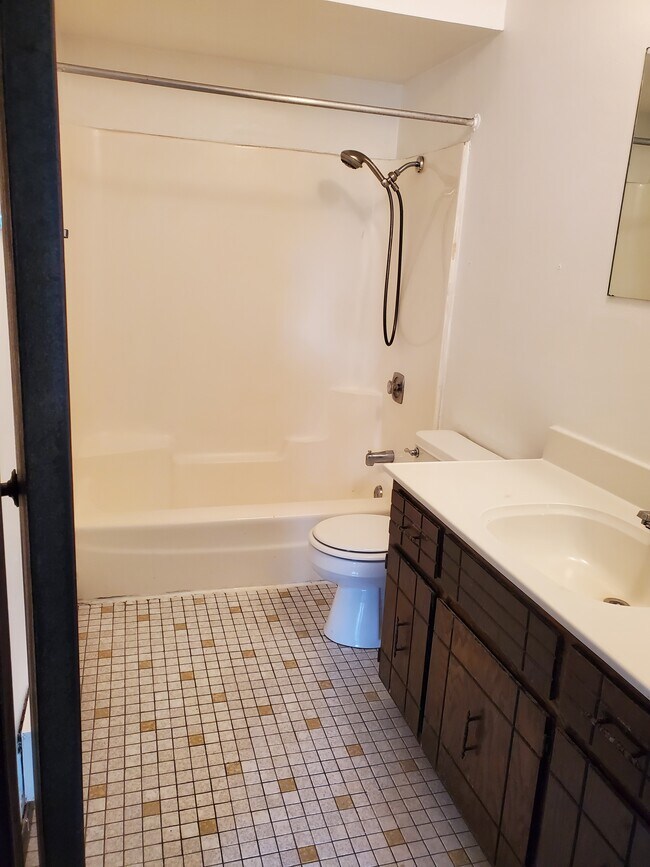 Roomy bathroom!! - 1023 Shagbark Ct
