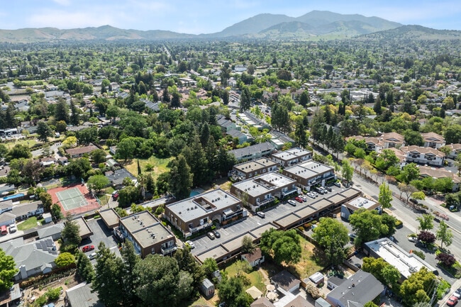 context - Clayton Hills