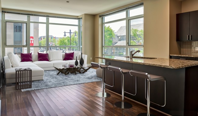 Open concept for kitchen and living areas - Southstar Lofts