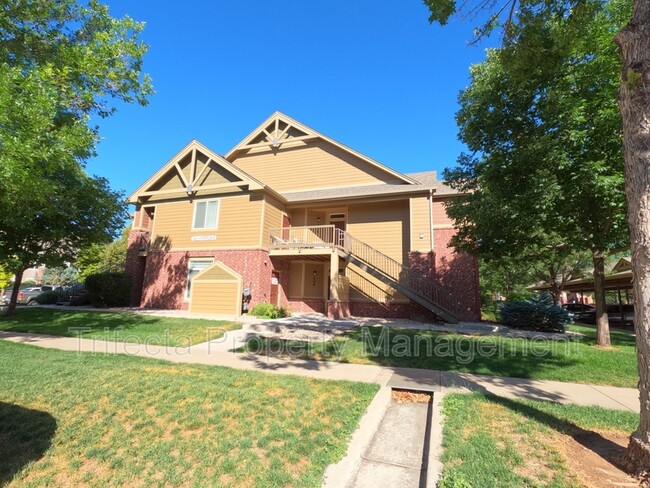 Primary Photo - 2445 Windrow Dr