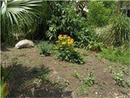 Building Photo - 1959 Lexington St