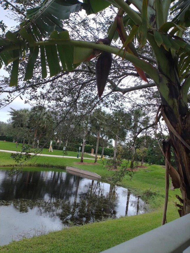 Building Photo - 4015 Banyan Trails Dr