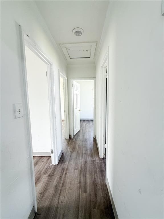 Building Photo - 526 Ware St