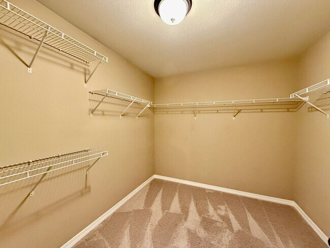 Building Photo - Beautiful Bedroom in Forest Meadows!