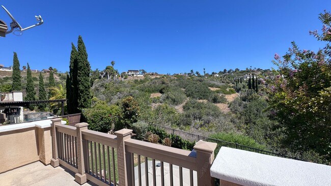 Building Photo - Luxury 4 Bedroom Home in La Costa Greens