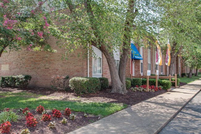 Primary Photo - 520 Bellwood Rd