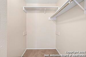 Building Photo - 4214 Briarcrest St