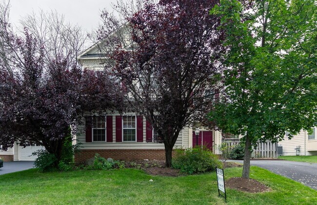 Building Photo - Spacious, Light-Filled Home in the Desirable Broadlands