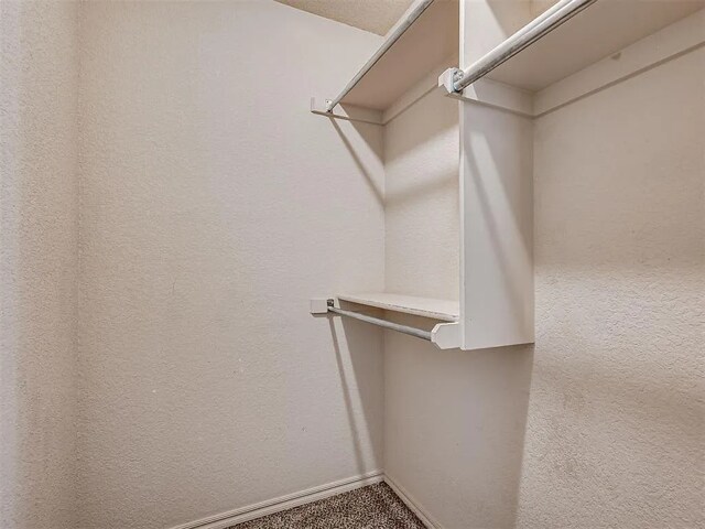 Building Photo - 1025 Switzerland Ave