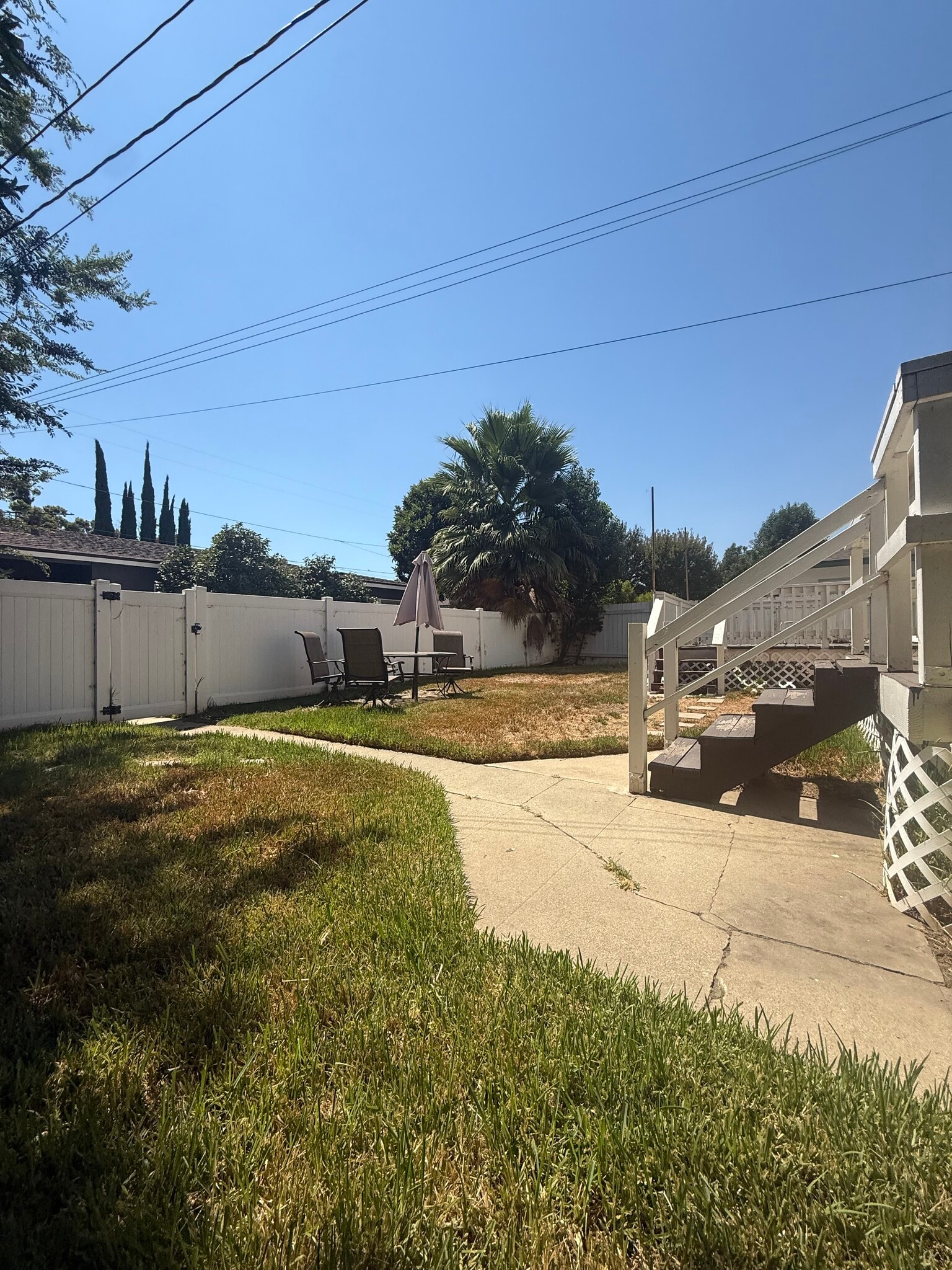 BackYard - 2448 5th St