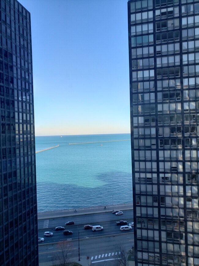View - 253 E Delaware Pl