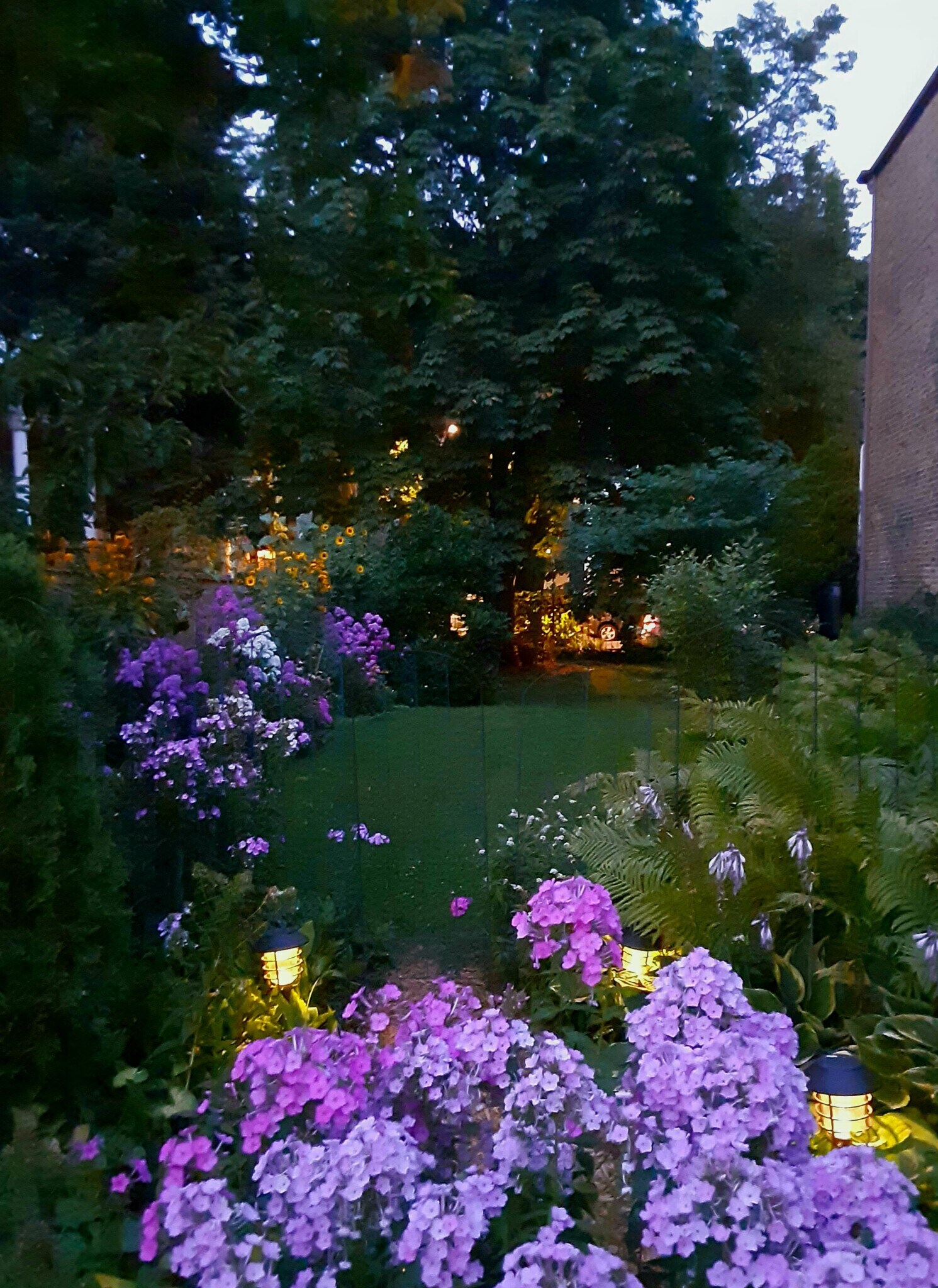 Side yard looking towards front yard - 2422 N Drake Ave