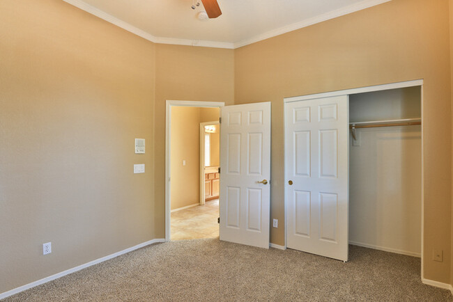 Building Photo - Spacious, Single Story, East Mesa home wit...