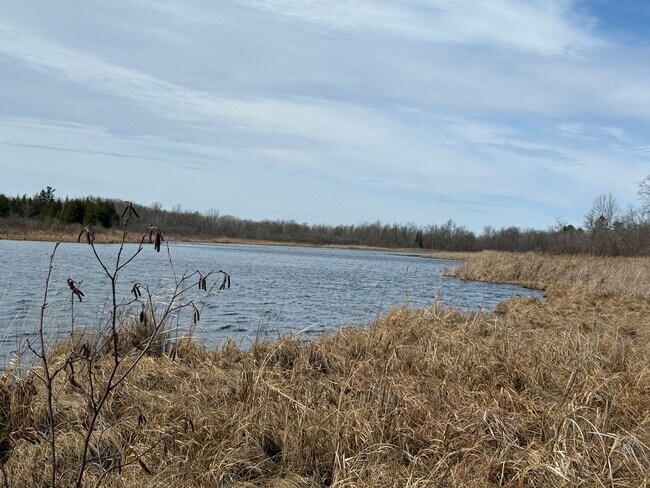 Building Photo - Beautiful 3 Bedroom Home on Rice Lake