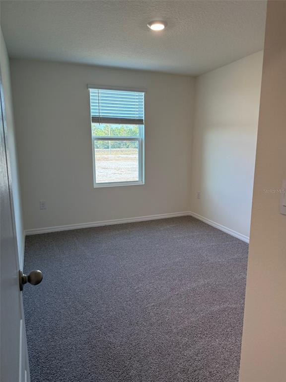 Building Photo - 2914 Hudson Hammock Wy