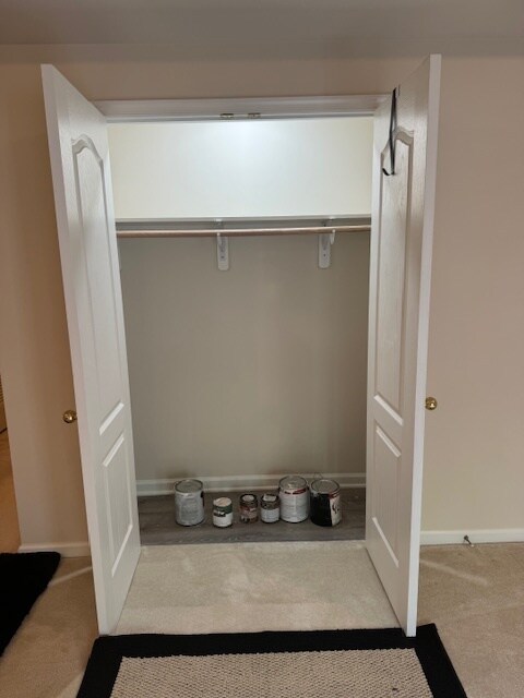 Coat and additional storage closet - 15405 Stacys Ridge Ct