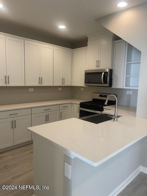 Building Photo - 157 Silver Myrtle Ct