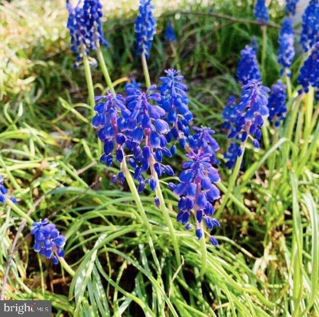 Building Photo - 1580 Spring Gate Dr.