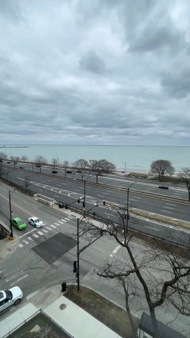 Building Photo - 1150 N Lake Shore Dr