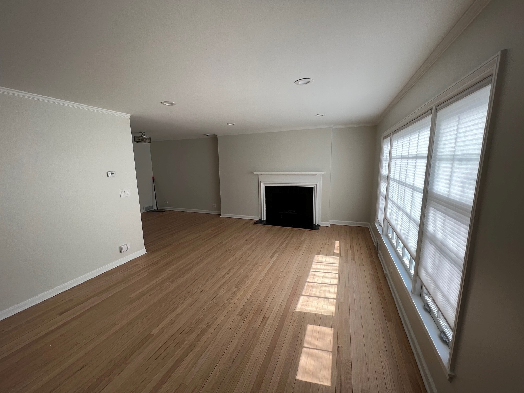 Living Area - 553 Winnetka Ave