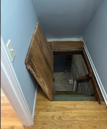 Building Photo - 262-280-280 Chamberlain Ave