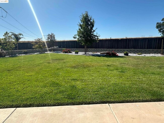 Building Photo - 649 Poplar Ct